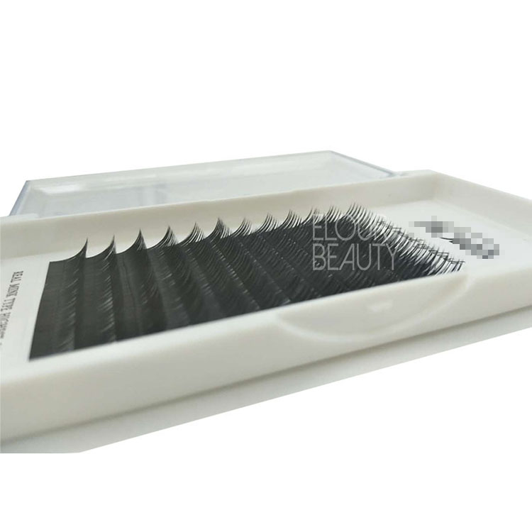 Lash plus new matte Camellia lash extensions OEM manufacturer EL40 